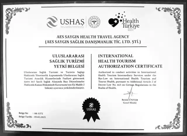 https://sayginhealth.com/wp-content/uploads/2025/06/health-tourism-document-640x467.webp